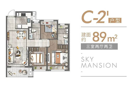 C-2'户型